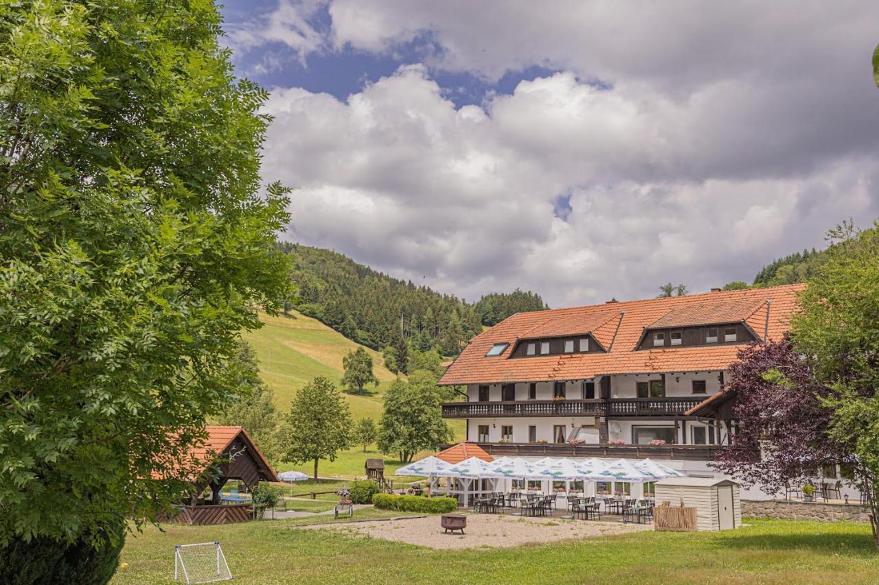 Boutique Wellnesshotel Landmann Steinen  Extérieur photo